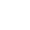 Suzuki100x100
